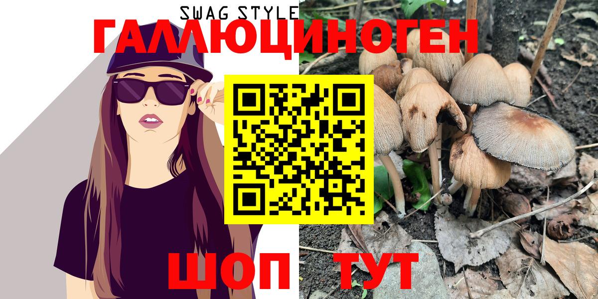 Галлюциногенные грибы Cubensis  Псилоцибиновые грибы Psilocybine cubensis  Беслан 